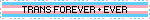 A transgender flag blinkie that reads trans4ever+ever